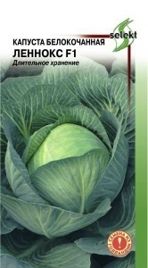 Капуста_б/к_Леннокс F1_12_шт._Дом Семян С-П