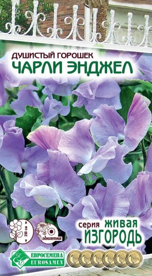 Горошек_Чарли Энджел (Живая Изгородь)_1_г._ЕВРОСЕМЕНА