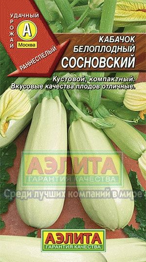 Кабачок_Сосновский_2_г._Аэлита