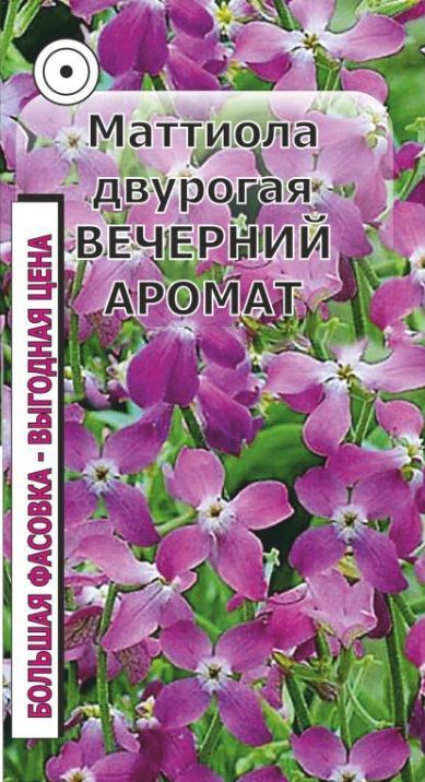 Маттиола_Вечерний аромат_0,3_г._Аэлита Э