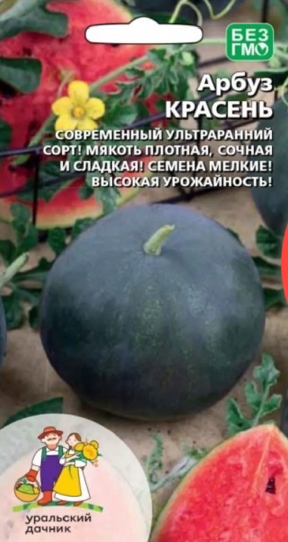 Арбуз_Красень F1_10_шт._Уральский Дачник