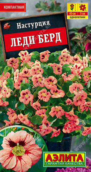 Настурция_Леди Берд_1_г._Аэлита