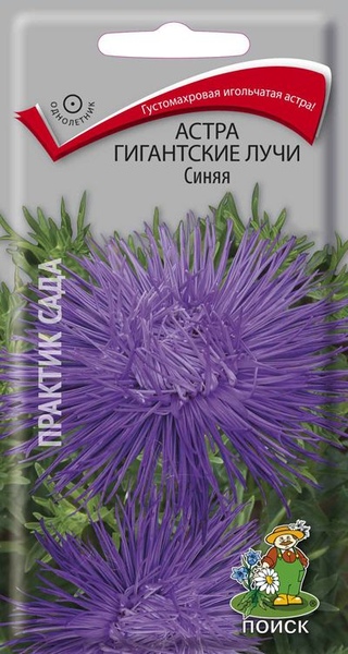 Астра_Гигантские лучи Синяя (игольчатая)_0,3_г._Поиск