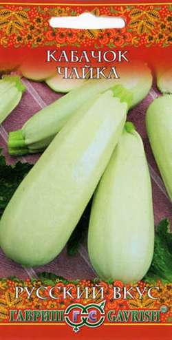 Кабачок_Чайка_2_г._Гавриш