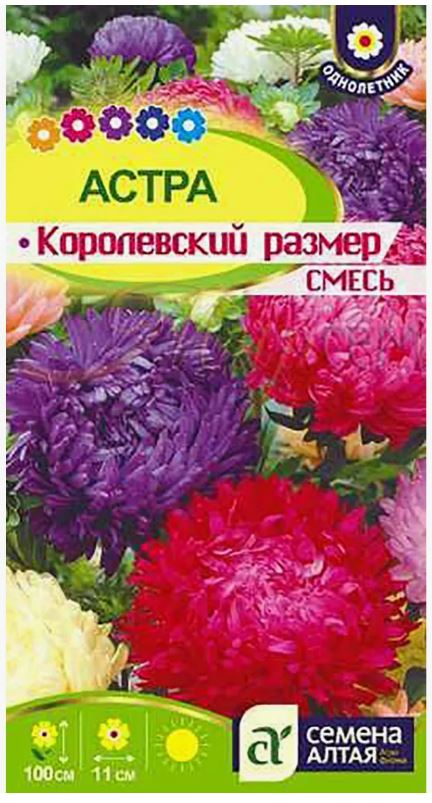 Астра_Королевский размер см (пионовидная)_0,2_г._Семена Алтая
