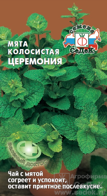 Мята_Церемония колосистая_0,1_г._Седек