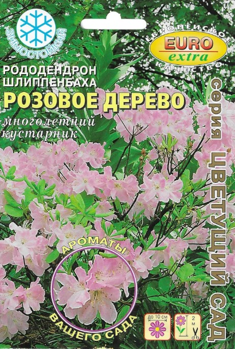Рододендрон_Розовое дерево шлиппенбаха_0_г._Аэлита Э