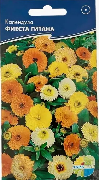 Календула (ноготки)_Фиеста Гитана см_20_шт._Акварель