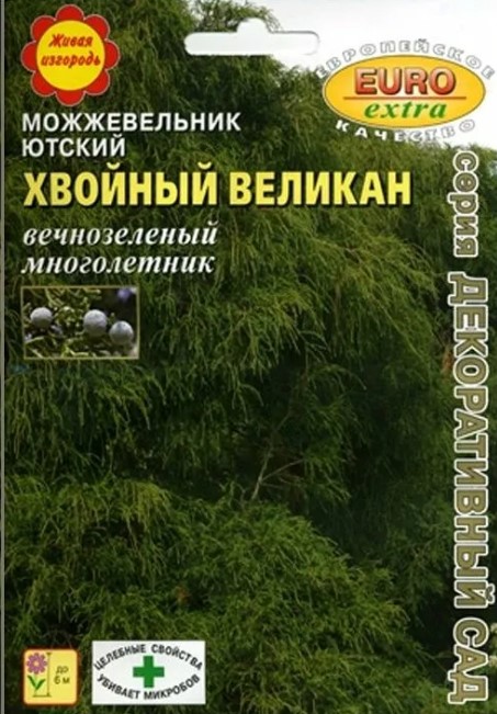 Можжевельник_Хвойный великан ютский_0,3_г._Аэлита Э