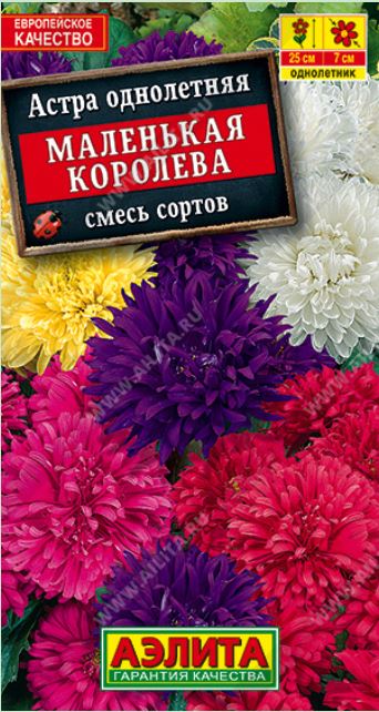 Астра_Маленькая Королева см_0,2_г._Аэлита