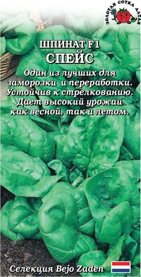 Шпинат_Спейс F1_1_г._Золотая Сотка Алтая