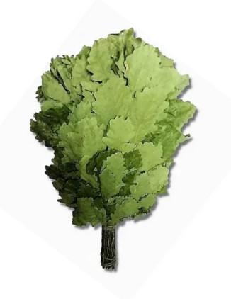 Веник дубовый -ПРОФИ