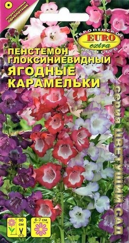 Пенстемон_Ягодные Карамельки см_0_г._Аэлита Э