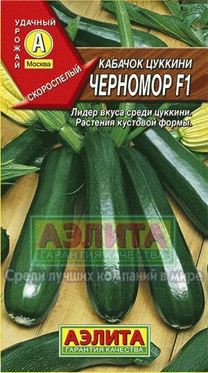 Кабачок_Черномор F1 (цуккини)_1_г._Аэлита