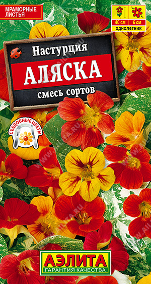 Настурция_Аляска см (куст пестролистная)_1_г._Аэлита