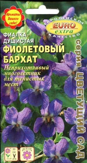 Фиалка_Фиолетовый бархат (душистая)_0,1_г._Аэлита Э