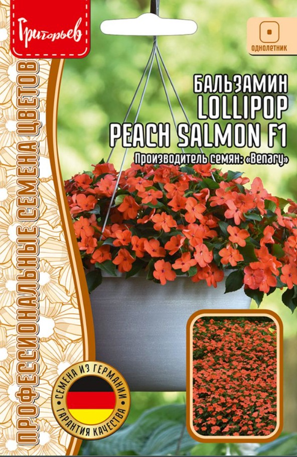 Бальзамин_Лоллипоп  Персиково-Лососёвый F1 б/ф_5_шт._Григорьев
