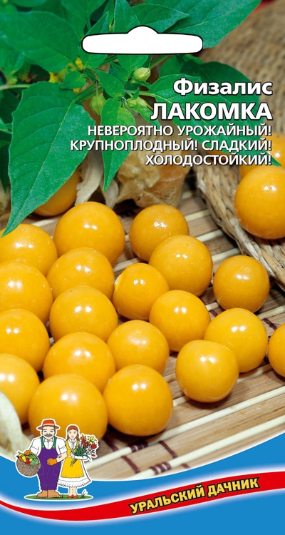 Физалис_Лакомка_20_шт._Уральский Дачник