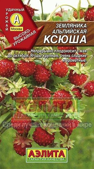 Земляника_Ксюша альпийская_0_г._Аэлита