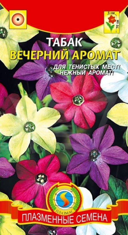 Табак душистый_Вечерний аромат см_0,04_г._Плазменные семена