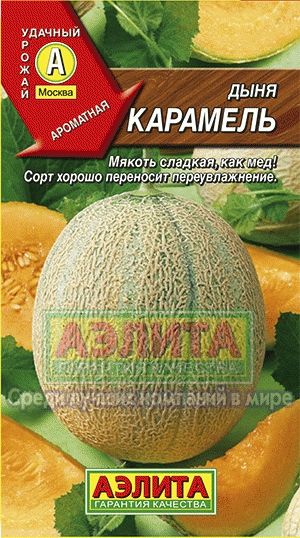 Дыня_Карамель_1_г._Аэлита