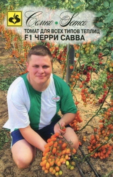 Томат_Черри Савва F1 (5 семян)_5_шт._Семко