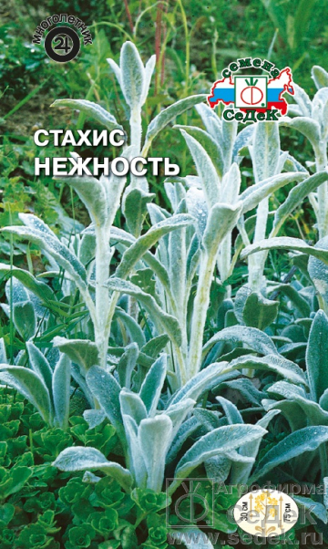 Стахис (чистец)_Нежность_0,1_г._Седек