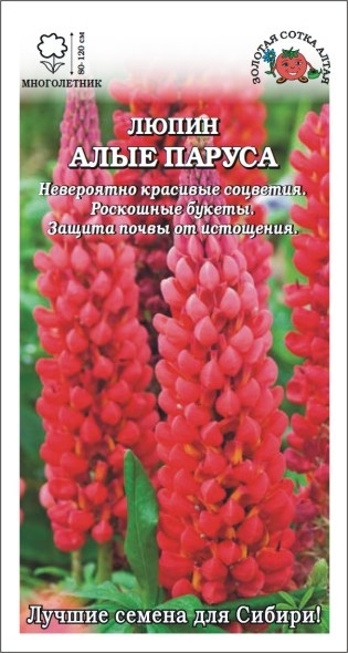 Люпин_Алые паруса_0,3_г._Золотая Сотка Алтая