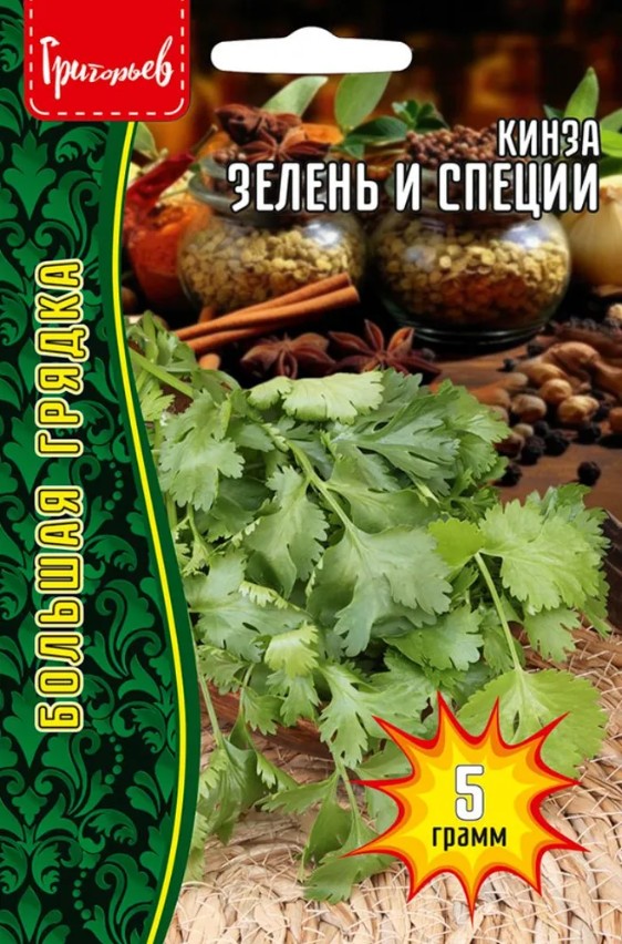 Кориандр (кинза)_Зелень и Специи б/ф_5_г._Григорьев