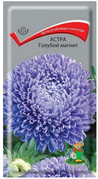 Астра_Голубой магнит (пионовидная)_0,3_г._Поиск