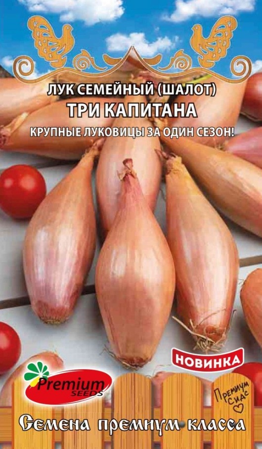 Лук_Три Капитана шалот_0,1_г._Премиум Сидс