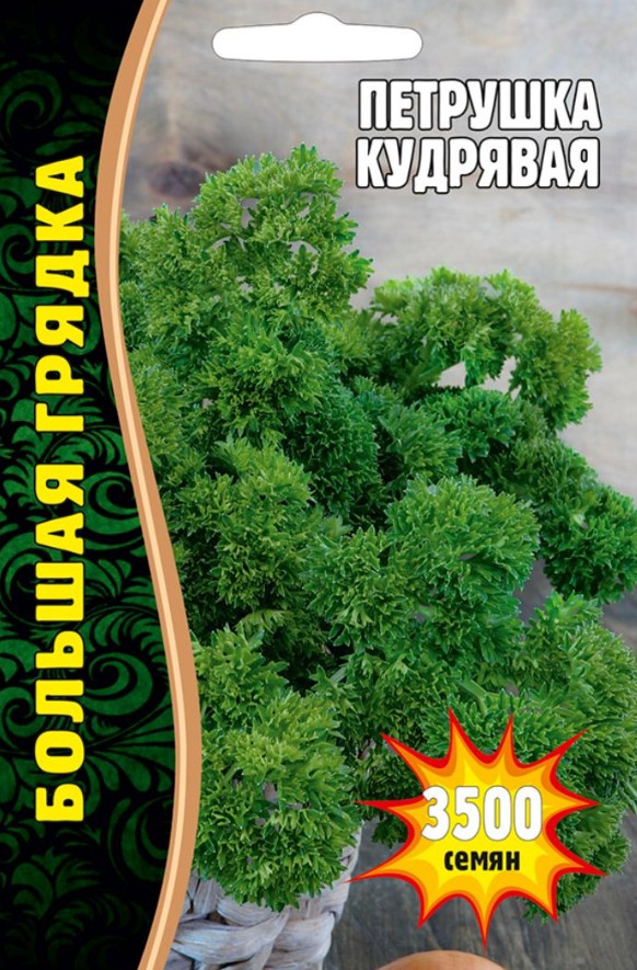 Петрушка_Кудрявая ВП б/ф_5_г._Григорьев