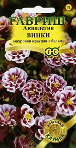 Аквилегия (водосбор)_Винки красная с белым_5_шт._Гавриш