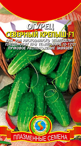 Огурец_Северный крепыш F1_0,04_шт._Плазменные семена
