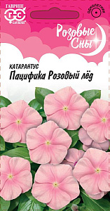 Катарантус (барвинок)_Пацифика Розовый Лёд (Розовые сны)_7_шт._Гавриш