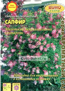 Сирень_Сапфир мелколистная_0,7_г._Аэлита Э