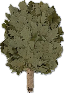 Веник дубовый БОГАТЫРЬ+ручка джут