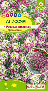 Алиссум (лобулярия)_Розовая Королева_0,1_г._Семена Алтая