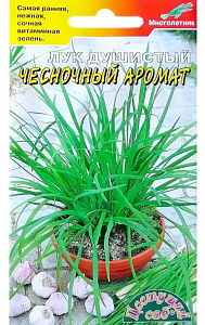 Лук_Чесночный Аромат душистый (многолетний)_0,04_г._Цветущий Сад