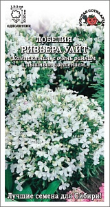 Лобелия_Ривьера Уайт_10_шт._Золотая Сотка Алтая
