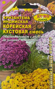 Хризантема_Кустовая см_0_г._Аэлита Э