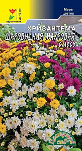 Хризантема_Шаровидная махр см_0,04_г._Цветущий Сад