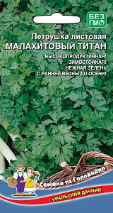 Петрушка_Малахитовый Титан (листовая)_2_г._Уральский Дачник