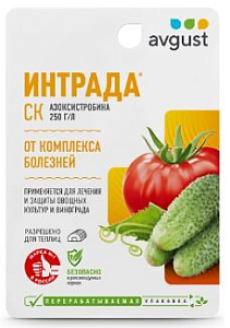 Интрада 10мл N80