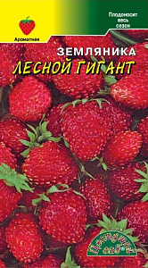 Земляника_Лесной Гигант_0_г._Цветущий Сад