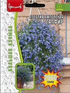 Лобелия_Сапфир (амп) б/ф_2000_шт._Григорьев
