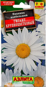 Нивяник_Гигант Антверпена_0,2_г._Аэлита Э