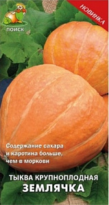 Тыква_Землячка_10_шт._Поиск