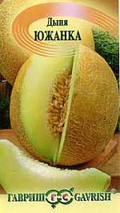 Дыня_Южанка ср_1_г._Гавриш