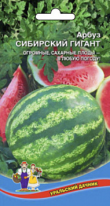 Арбуз_Сибирский гигант_10_шт._Уральский Дачник